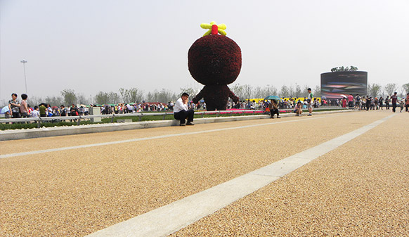 青島世界園藝博覽會(huì)透水路面工程，美邦用事實(shí)證明：沒(méi)有最好，只有更好