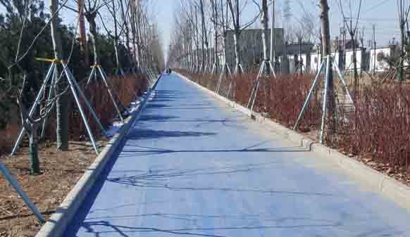 彩色瀝青路面為何如此美麗，一篇資訊為你解答！