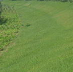 生態(tài)護(hù)坡