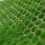 公路防護(hù)坡